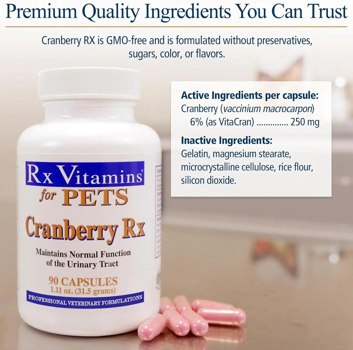 RX VITAMINS - Rx Vitamins Cranberry Pills for Dogs 90 Capsulas - The Red Vitamin MX - Salud De Tracto Urinario Para Perros - {{ shop.shopifyCountryName }}
