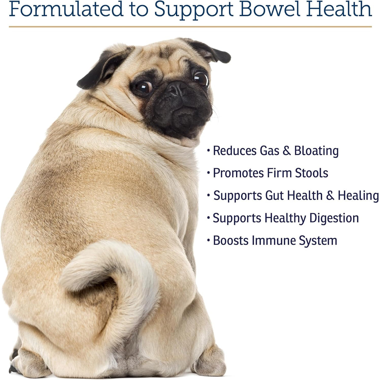 Rx Vitamins NutriGest Dog Probiotics for Digestive Health 132Gr.