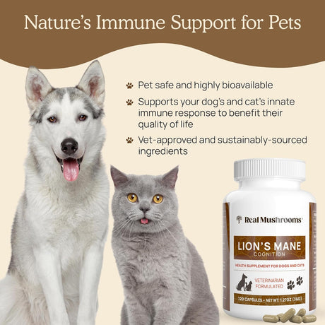 REAL MUSHROOMS - Real Mushrooms Lion’s Mane Pet Mushroom Supplement 120 Capsulas - The Red Vitamin MX - Suplementos Herbales Para Perros - {{ shop.shopifyCountryName }}