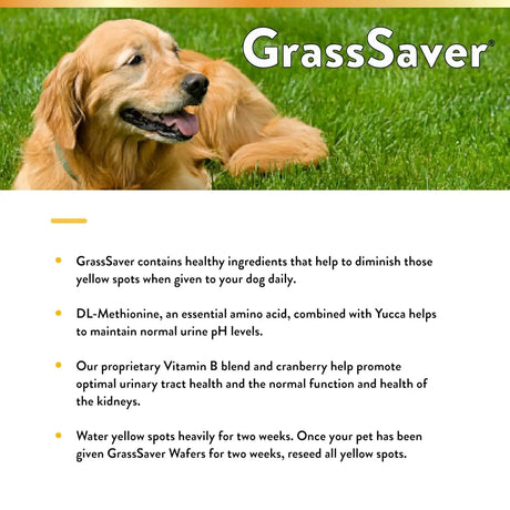 NATURVET - NaturVet GrassSaver Wafers for Dogs Plus Enzymes 300 Wafers - The Red Vitamin MX - Salud De Tracto Urinario Para Perros - {{ shop.shopifyCountryName }}