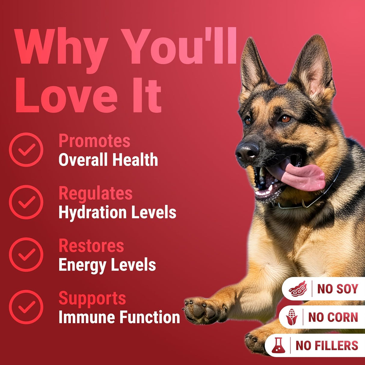 WUFFWELL - WuffWell Seven Mushrooms Powder with Vitamin C 30 Servicios 54Gr. - The Red Vitamin MX - Suplementos Herbales Para Perros - {{ shop.shopifyCountryName }}