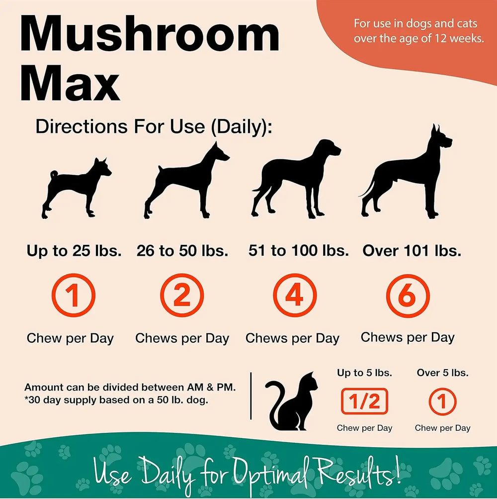 NATURVET - NaturVet Mushroom Max Advanced Immune Support Dog Supplement 60 Masticables - The Red Vitamin MX - Suplementos Herbales Para Perros - {{ shop.shopifyCountryName }}