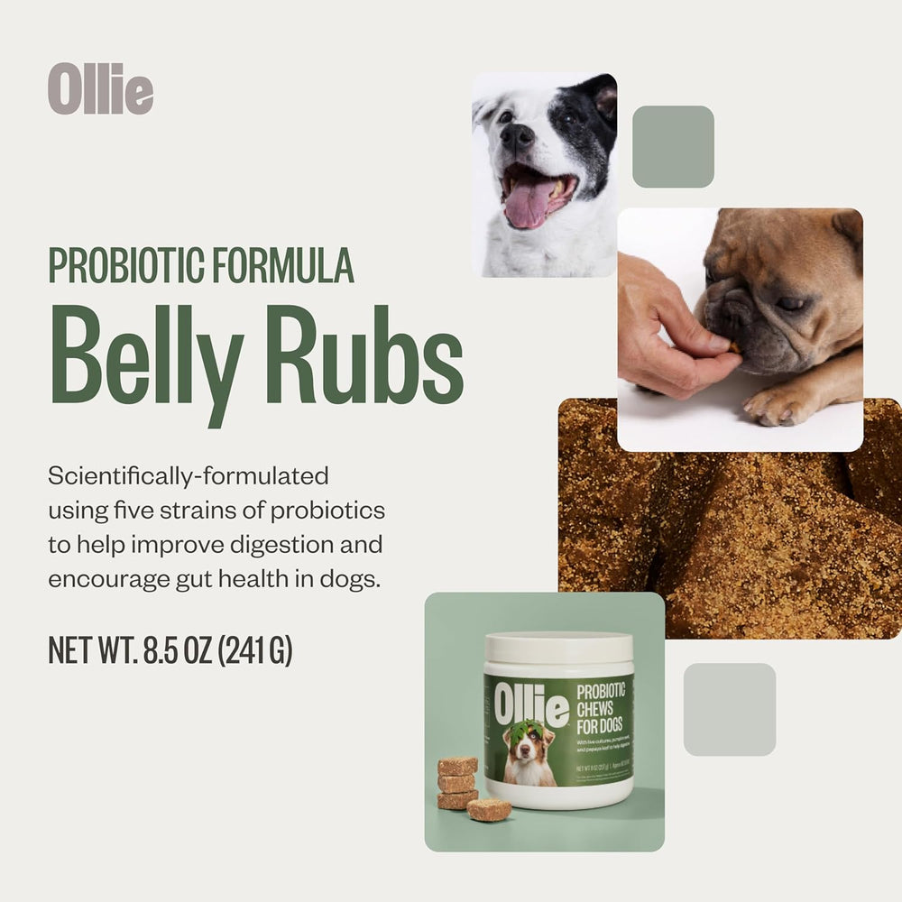 Ollie Probiotic Dog Chews 60 Masticables
