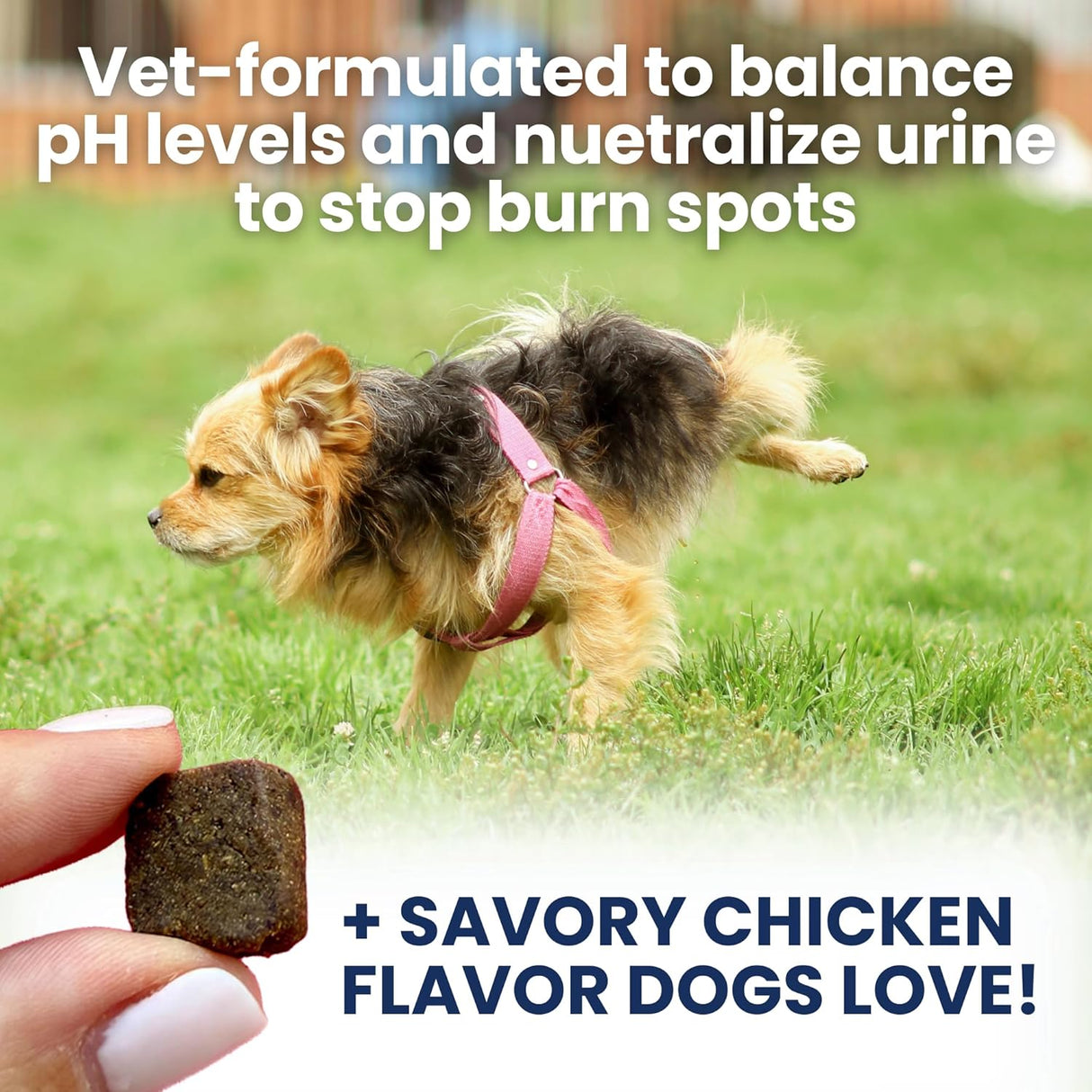 Under the Weather Nice Grass Chews for Dogs 60 Masticables