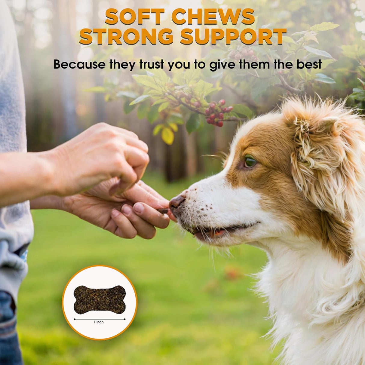 Arlo Pet Supplies Skin and Coat 60 Masticables