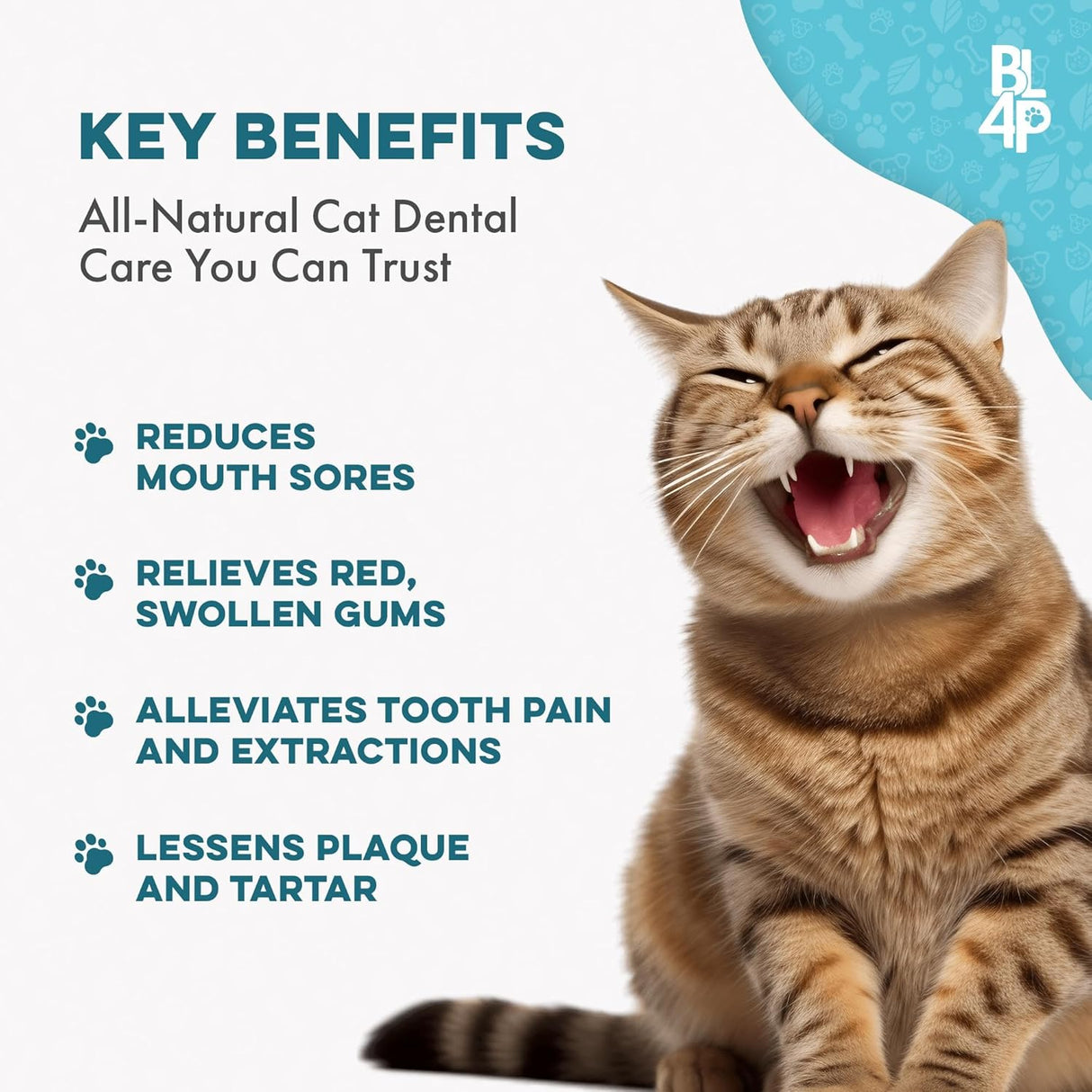 BestLife4Pets Cat Dental Supplement for Bad Breath Tartar & Gum Support 400 Tabletas