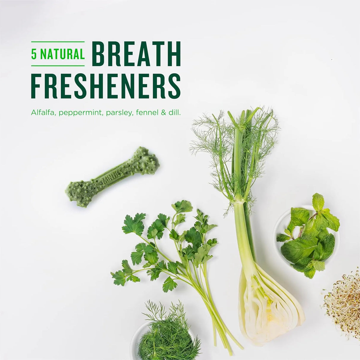 MINTIES - Minties Dental Chews for Dogs Mint-Flavored Treats for Large Dogs Over 50 lbs 5 Piezas - The Red Vitamin MX - Cuidado Dental Para Perros - {{ shop.shopifyCountryName }}