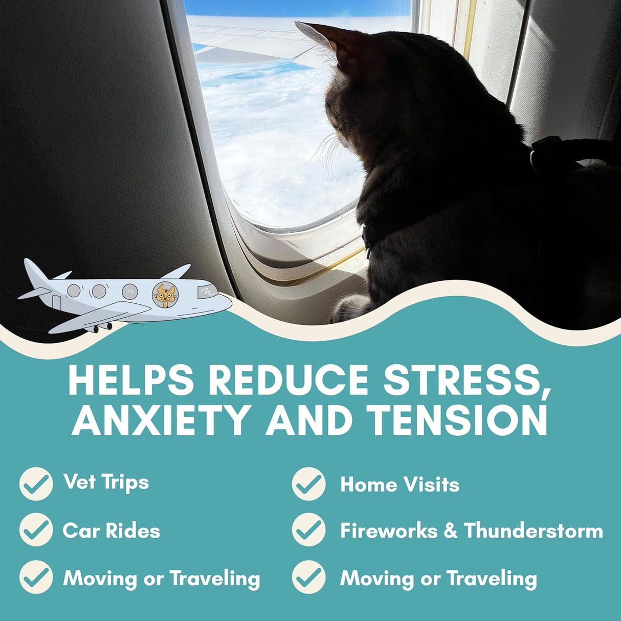 ALBERT & MIA Calming Sticks Lickable Calming Cat Treats 20 Pack