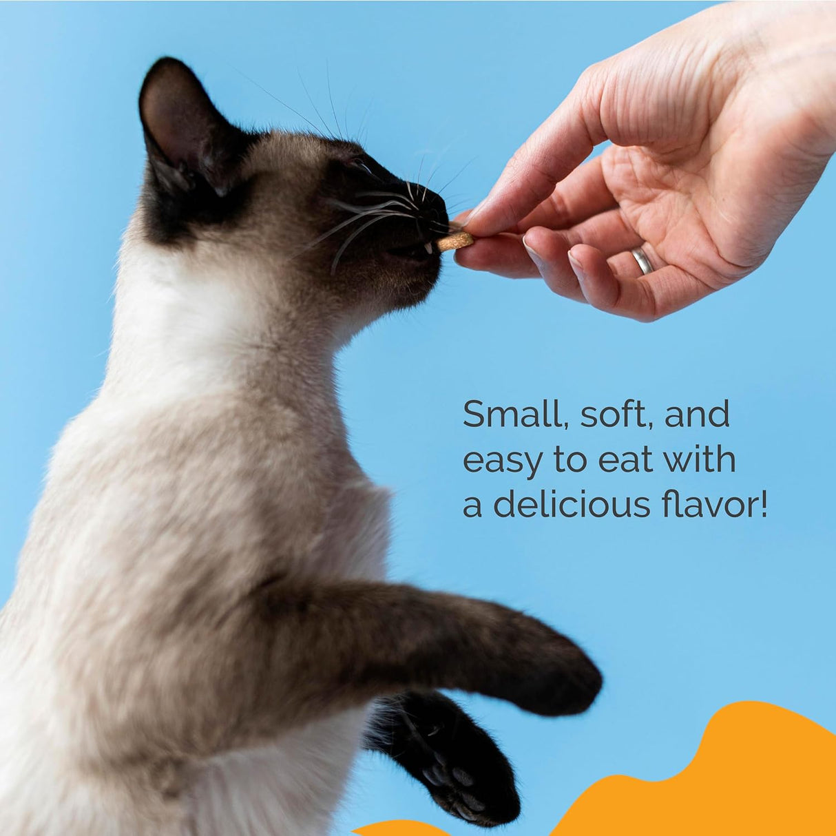 PureCat Joint Support Soft Chews Supplements 200 Masticables