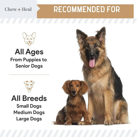 CHEW + HEAL - Chew + Heal Labs Glucosamine Hip and Joint Supplement for Dogs 90 Masticables - The Red Vitamin MX - Cuidado De Cadera Y Articulaciones Para Perros - {{ shop.shopifyCountryName }}