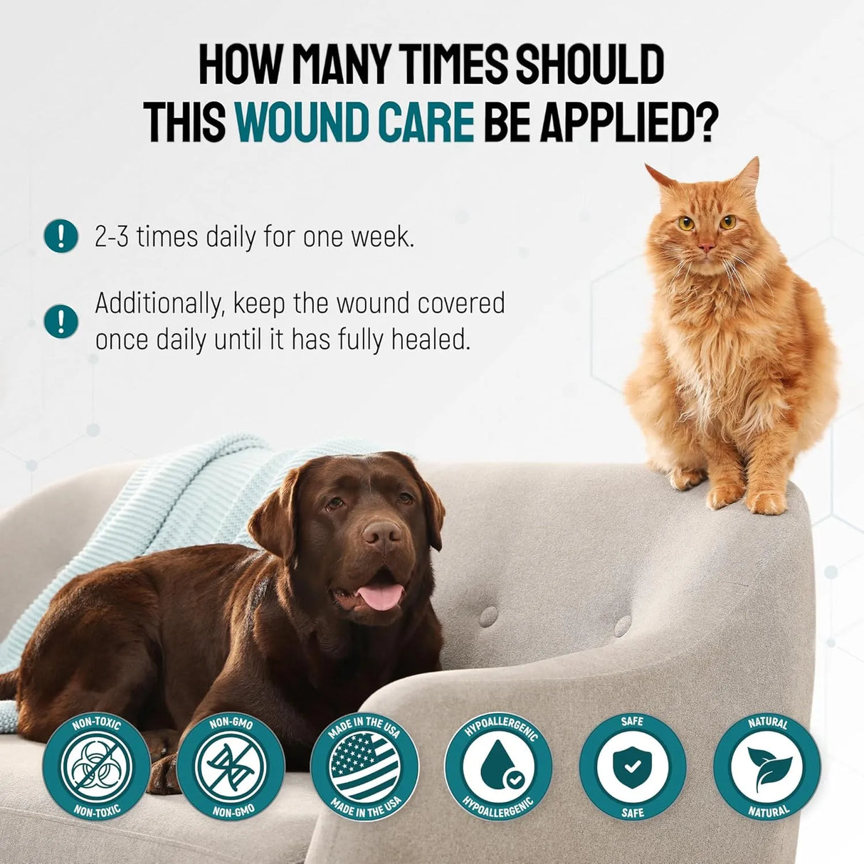 SILVER GRADE - SILVER GRADE Hot Spot Treatment for Dogs 2 Oz. - The Red Vitamin MX - Remedios Para La Picazón De Perros - {{ shop.shopifyCountryName }}