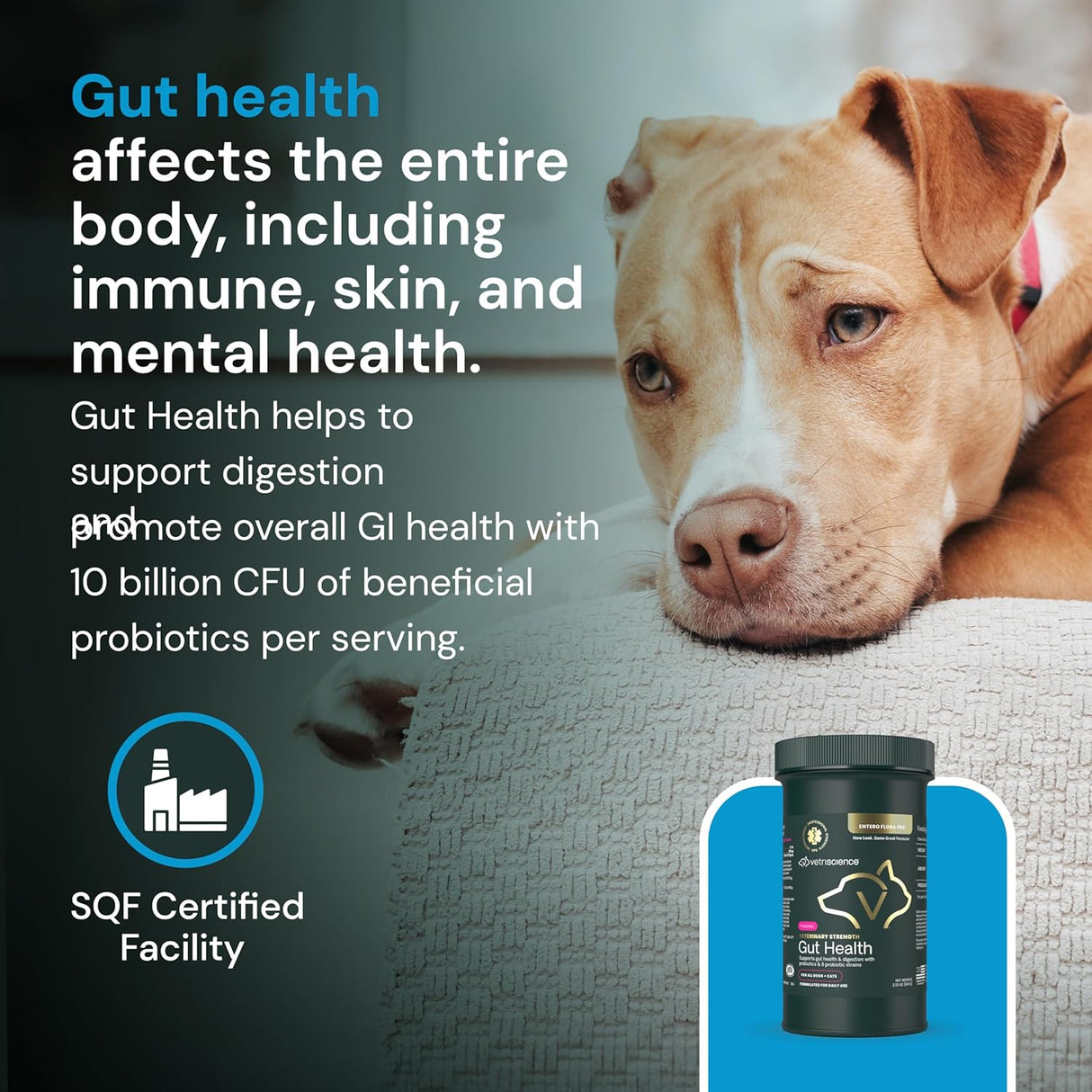 VetriScience Veterinary Strength Gut Health Powder 60 Servicios 60Gr.