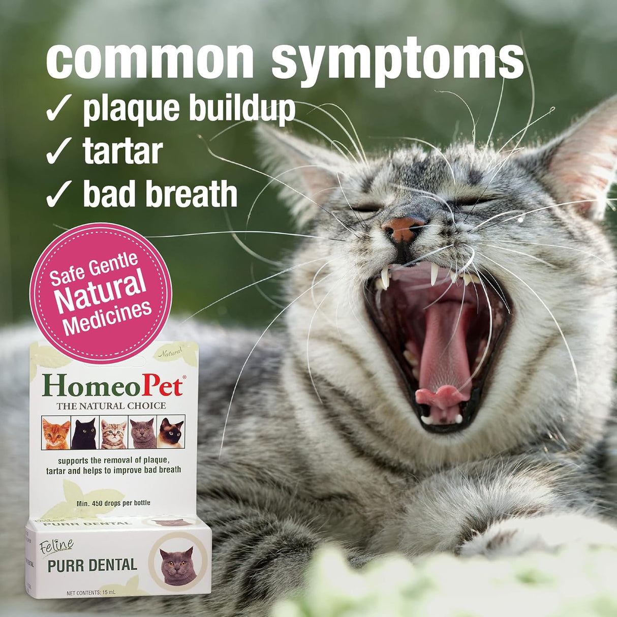 HomeoPet Feline Purr Dental Safe and Natural Tooth and Dental Care for Cats 15Ml.