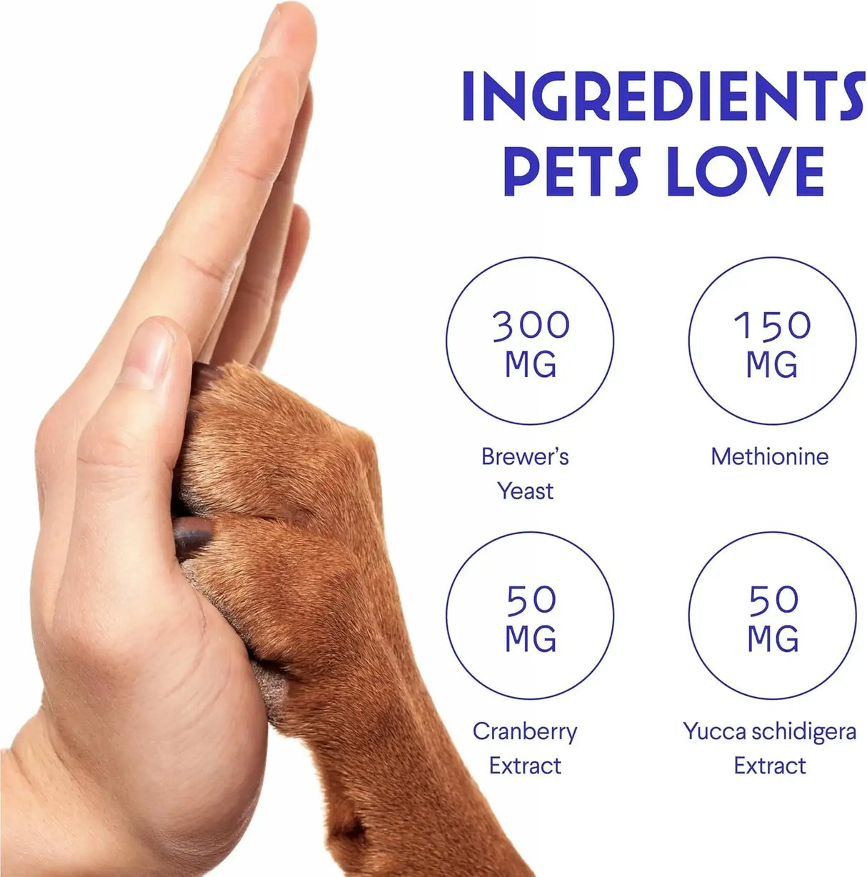 WONDER PAWS - WONDER PAWS Grass Hero Grass Burn Spot Chews 60 Masticables - The Red Vitamin MX - Salud De Tracto Urinario Para Perros - {{ shop.shopifyCountryName }}