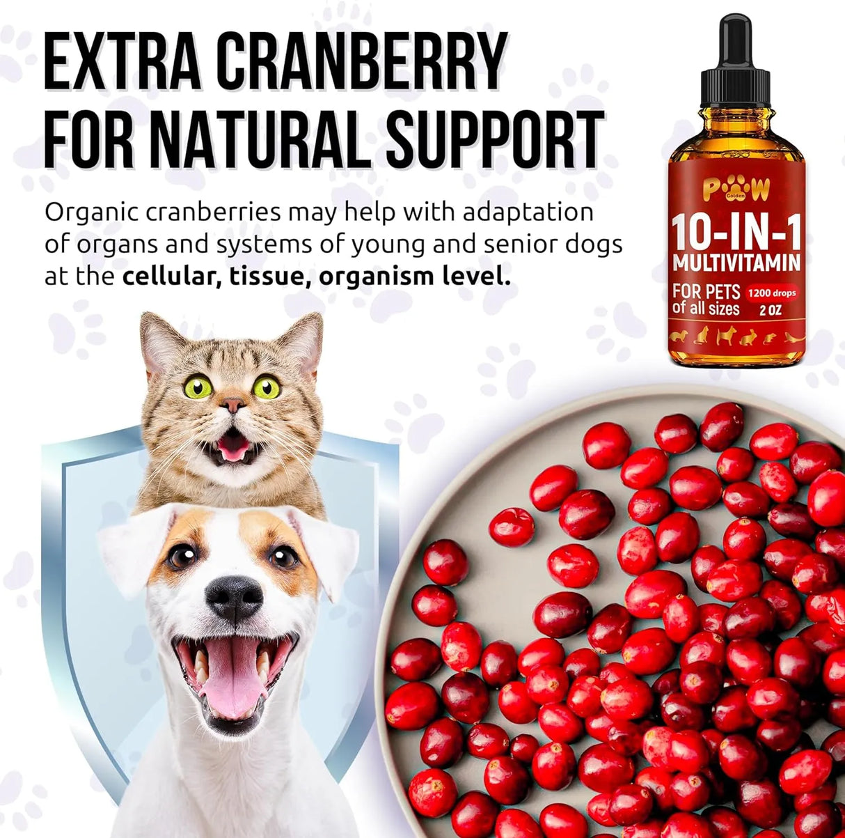 GOLDEN PAW - Golden Paw Liquid Multivitamin for Dogs 2 Fl.Oz. - The Red Vitamin MX - Multivitamínicos Para Perros - {{ shop.shopifyCountryName }}