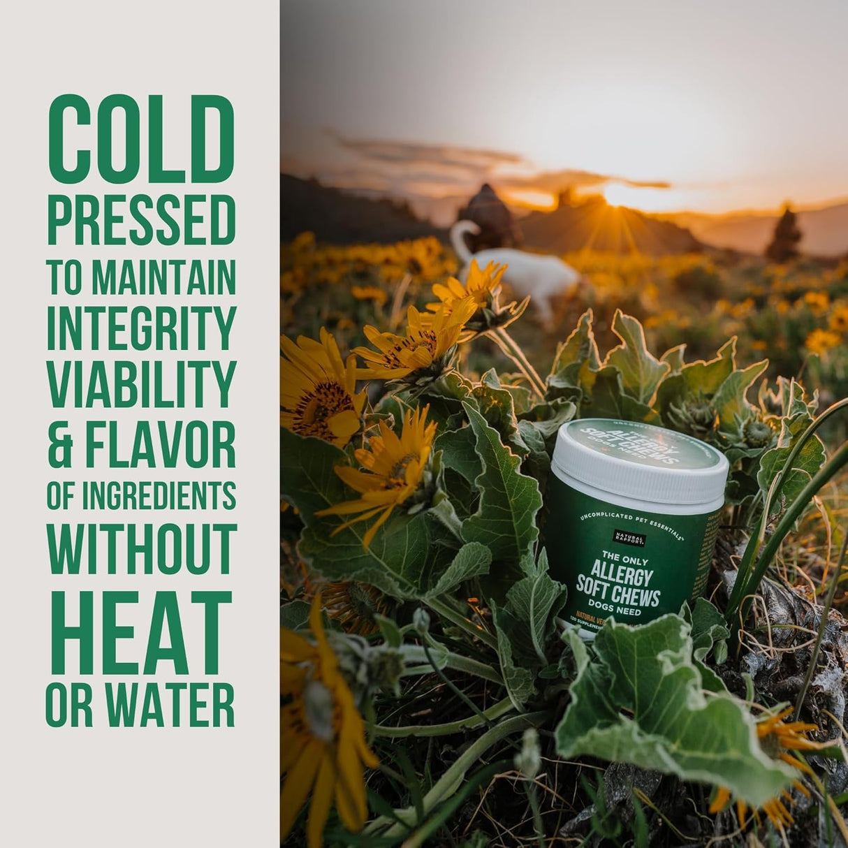 Natural Rapport Dog Allergy Supplement 120 Masticables