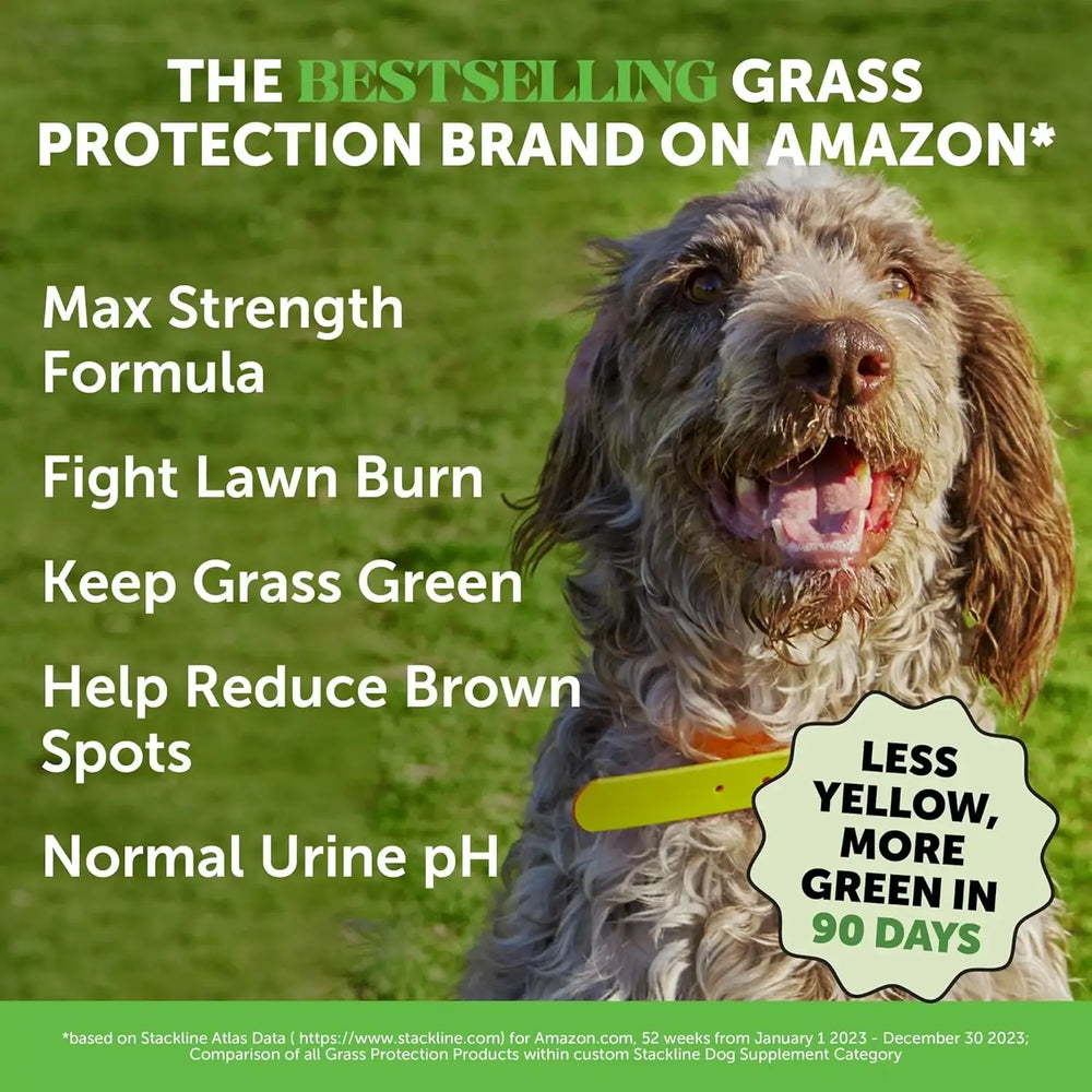 PET HONESTY - Pet Honesty Grass Green Max Strength Burn Spot Chews for Dogs DUCK 90 Masticables - The Red Vitamin MX - Salud De Tracto Urinario Para Perros - {{ shop.shopifyCountryName }}