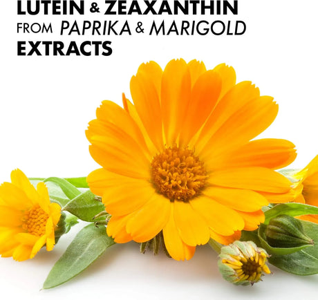 BLUEBONNET NUTRITION - Bluebonnet Nutrition Zeaxanthin Plus Lutein 60 Capsulas Blandas - The Red Vitamin MX - Suplementos Alimenticios - {{ shop.shopifyCountryName }}