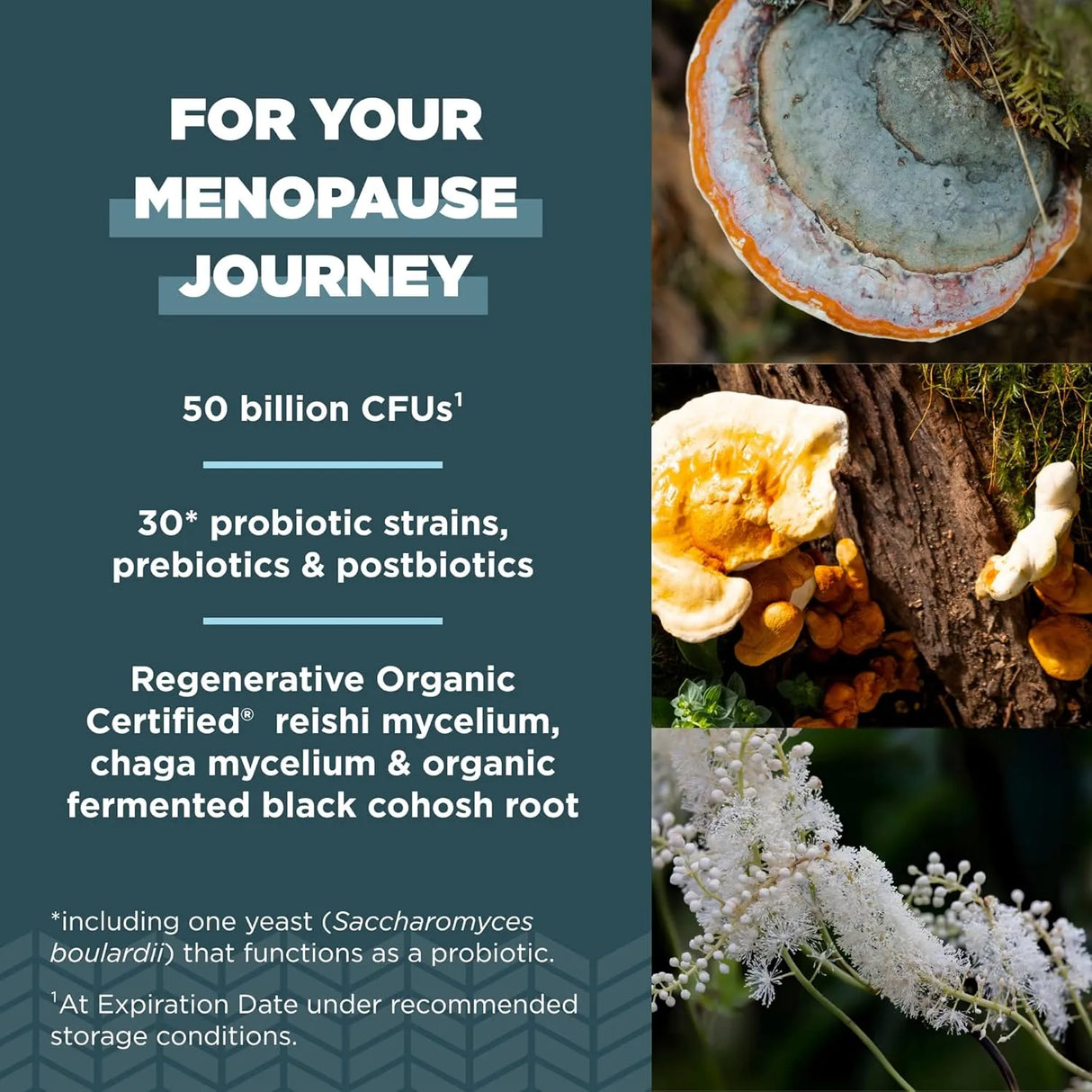 ANCIENT NUTRITION - Ancient Nutrition Regenerative Organic Certified Probiotics for Menopause Support 60 Capsulas - The Red Vitamin MX - Suplementos Alimenticios - {{ shop.shopifyCountryName }}