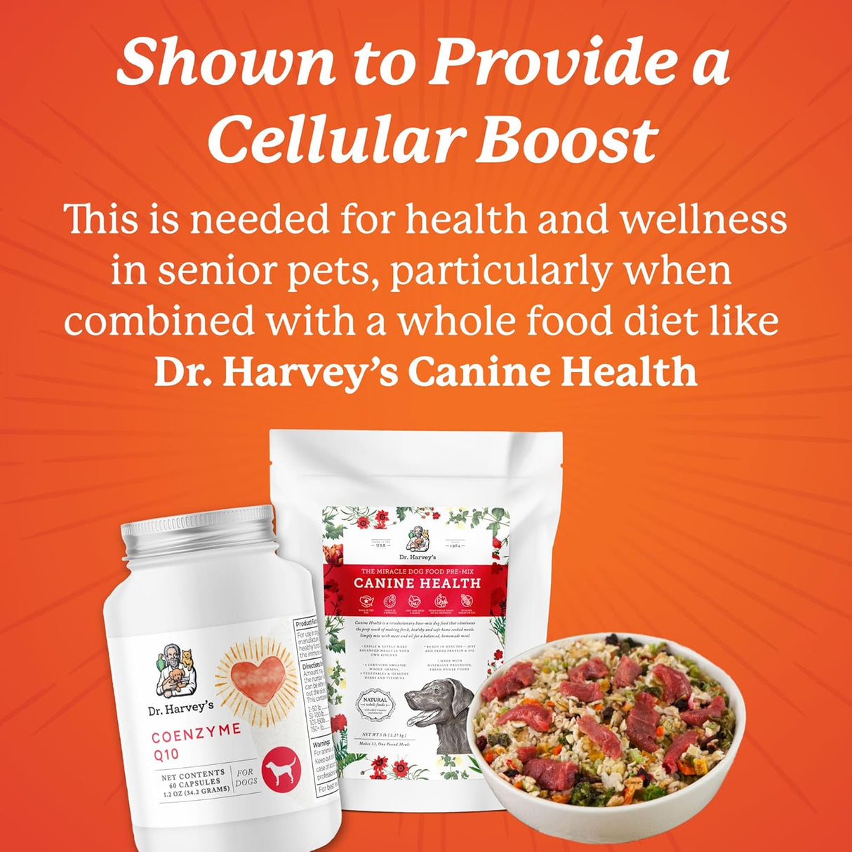 Dr. Harvey's Coenzyme Q10 Heart & Cardiovascular Support Supplements for Dogs 60 Capsulas