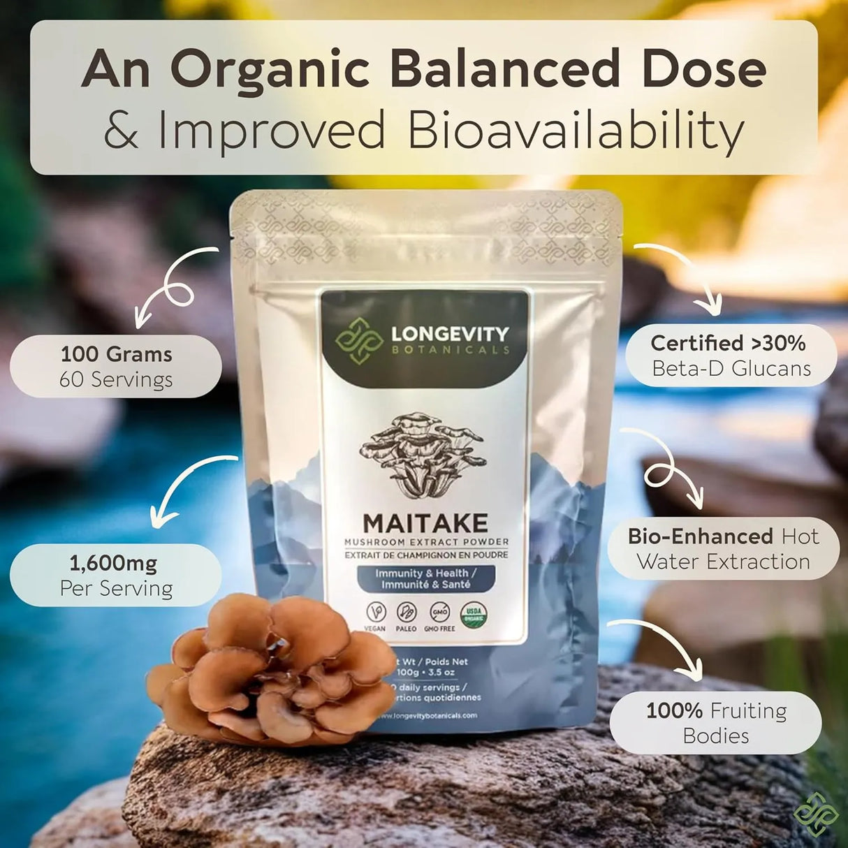 LONGEVITY BOTANICALS - Longevity Botanicals Organic Maitake Mushroom Extract Powder 100Gr. - The Red Vitamin MX - Suplementos Alimenticios - {{ shop.shopifyCountryName }}