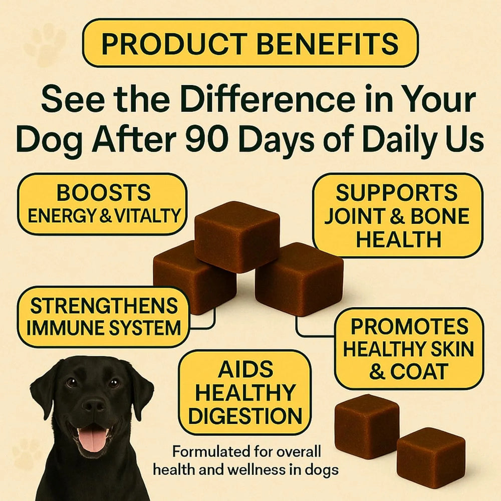 BOB'S BITES - Bob’s Bites Dog Multivitamin Treats 120 Masticables - The Red Vitamin MX - Multivitamínicos Para Perros - {{ shop.shopifyCountryName }}