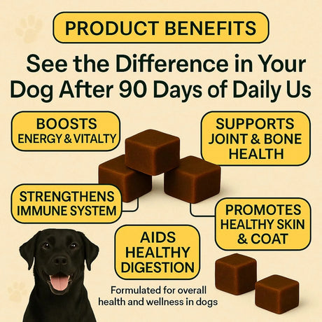 BOB'S BITES - Bob’s Bites Dog Multivitamin Treats 120 Masticables - The Red Vitamin MX - Multivitamínicos Para Perros - {{ shop.shopifyCountryName }}