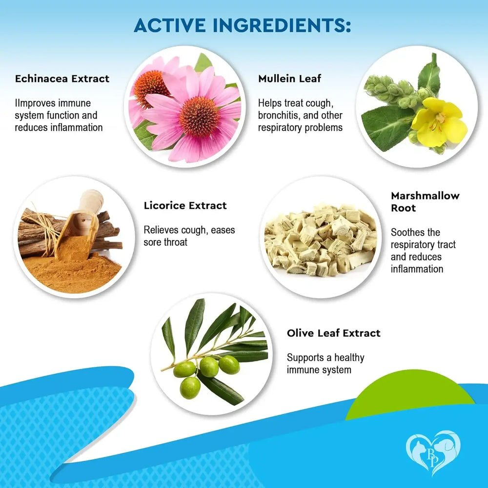 BELOVED PETS - Beloved Pets Kennel Cough Treatment & Natural Infection Medicine for Dogs & Cats 2 Fl.Oz. - The Red Vitamin MX - Medicamentos Sin Receta Para Perros - {{ shop.shopifyCountryName }}