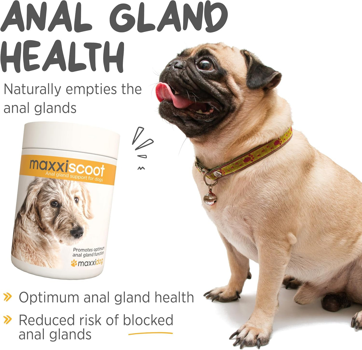 maxxipaws maxxiscoot Anal Gland & Digestive Health Support for Dogs 140Gr.