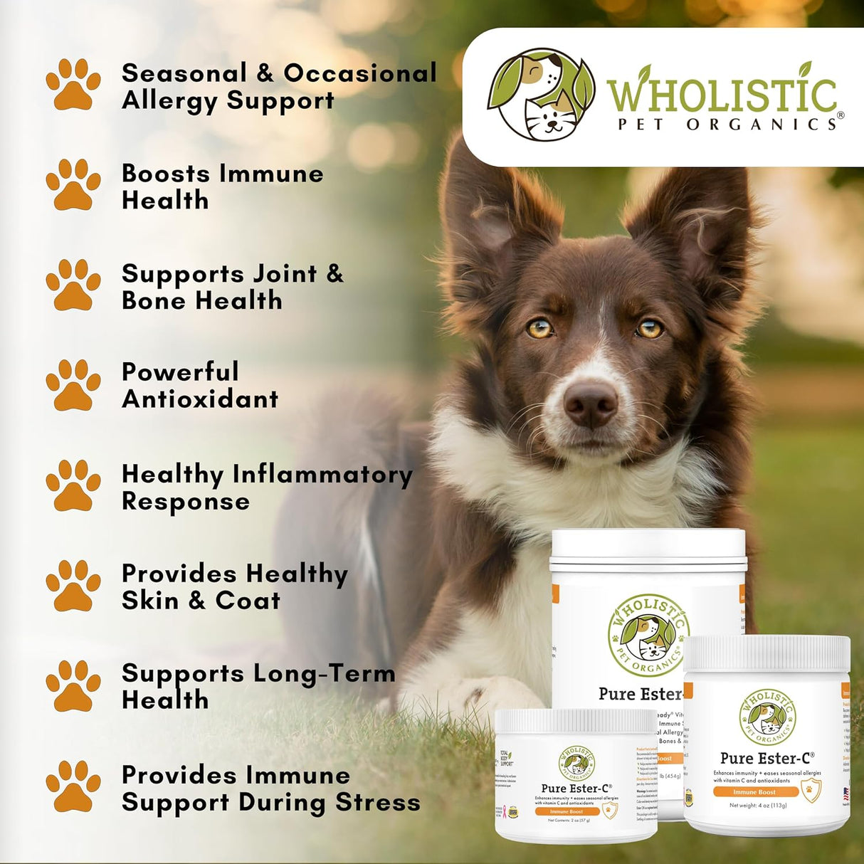 Wholistic Pet Organics Pure Ester-C Powder for Dogs 113Gr.