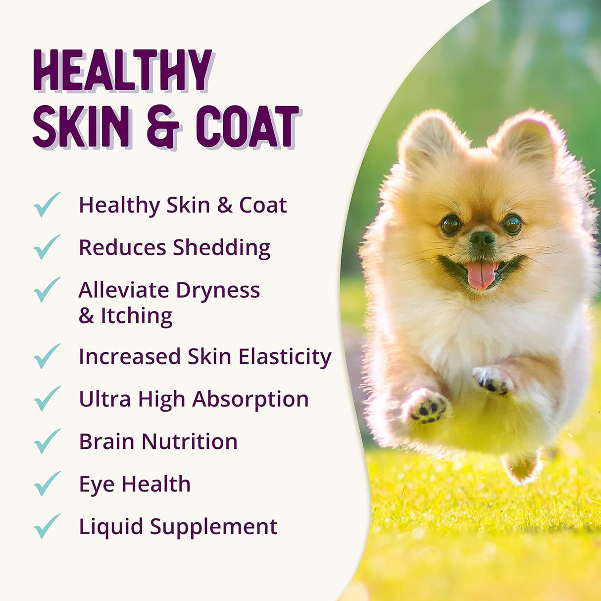 Health Extension Skin & Coat Supplement for Dogs 16 Oz.