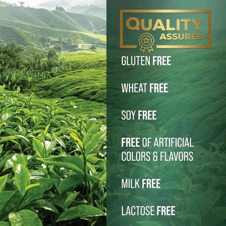 PURETEA - PureTea Green Tea Extract 1000Mg. 240 Capsulas - The Red Vitamin MX - Suplementos Alimenticios - {{ shop.shopifyCountryName }}