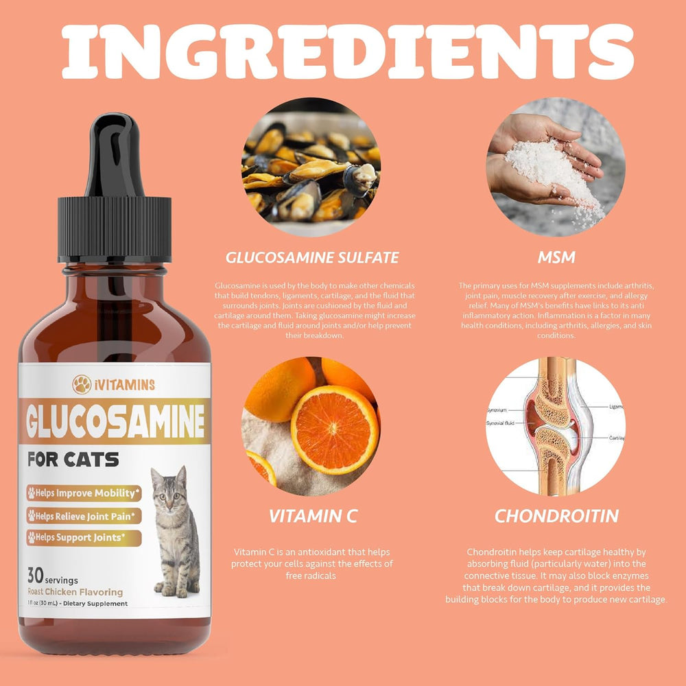 iVitamins Glucosamine for Cats Chicken Flavor 1 Fl.Oz.
