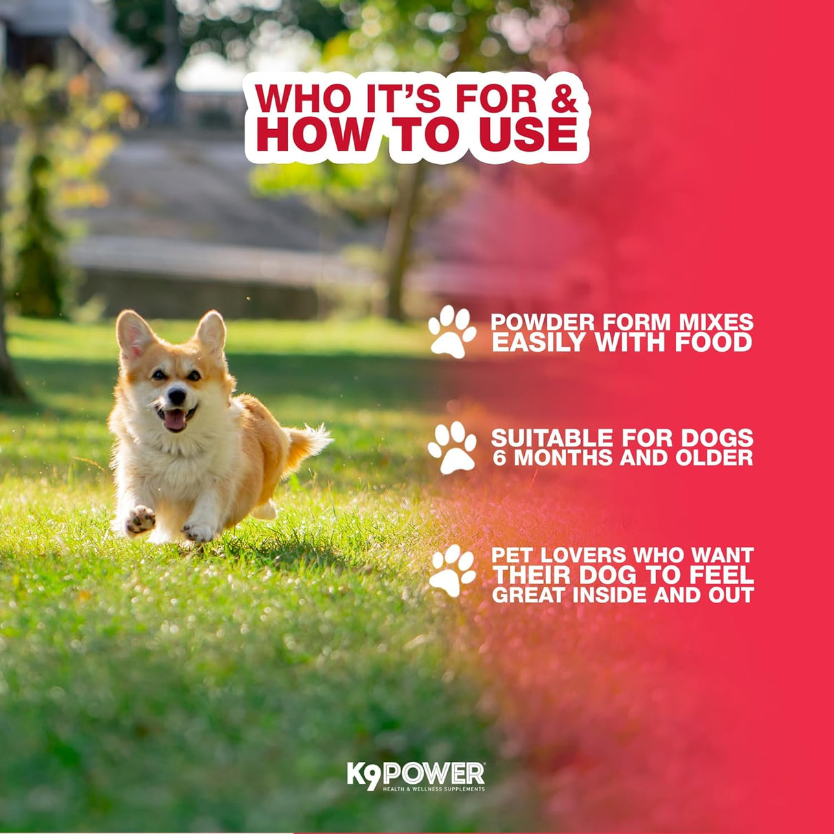 K9 Power Young at Heart Senior Dog Multivitamin 454Gr. 2 Pack