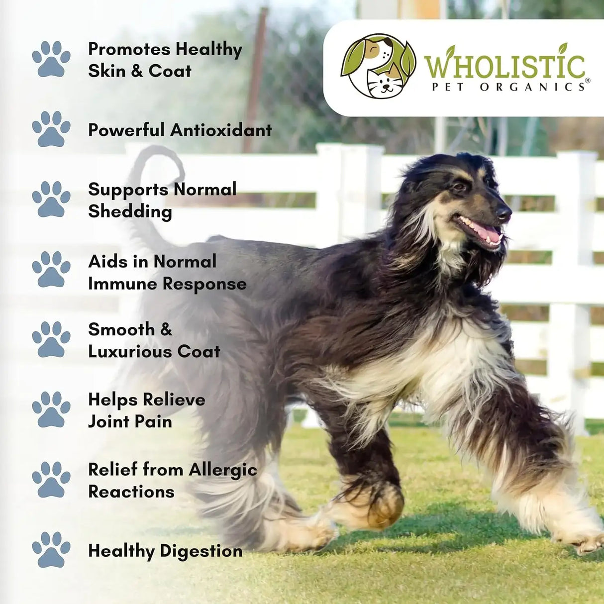 WHOLISTIC PET ORGANICS - Wholistic Pet Organics Flaxseed Oil for Dogs 16 Fl.Oz. - The Red Vitamin MX - Remedios Para La Picazón De Perros - {{ shop.shopifyCountryName }}