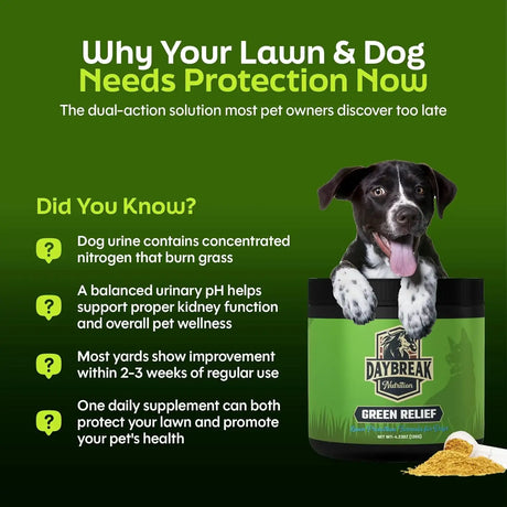 DAYBREAK NUTRITION - Daybreak Nutrition Green Relief Dog Urine Neutralizer for Lawn 120Gr. - The Red Vitamin MX - Salud De Tracto Urinario Para Perros - {{ shop.shopifyCountryName }}