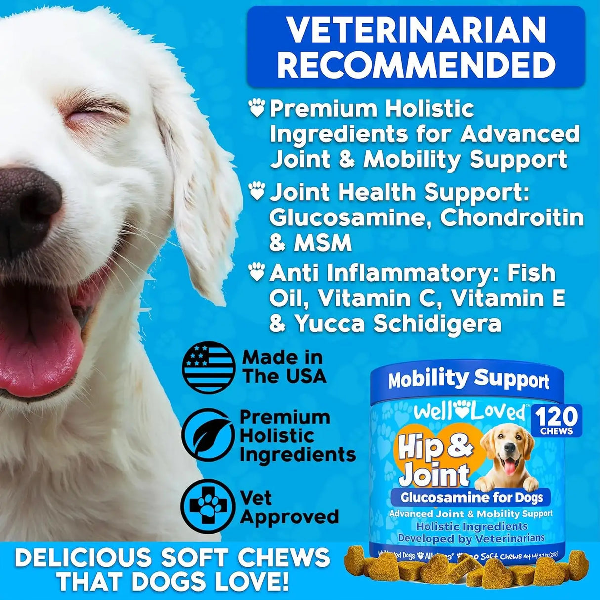 WELL LOVED - Well Loved Hip and Joint Chews with MSM 120 Masticables - The Red Vitamin MX - Cuidado De Cadera Y Articulaciones Para Perros - {{ shop.shopifyCountryName }}