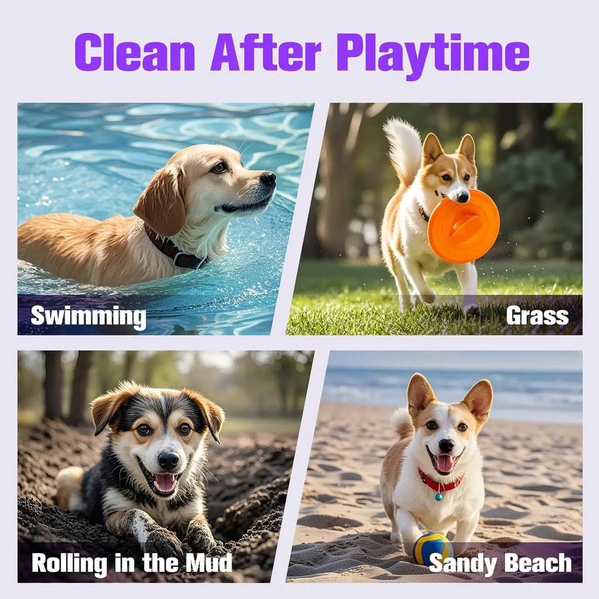 AAIHE - AAIHE Dog Ear Wipes 50 Toallitas - The Red Vitamin MX - Cuidado Del Oído De Perros - {{ shop.shopifyCountryName }}