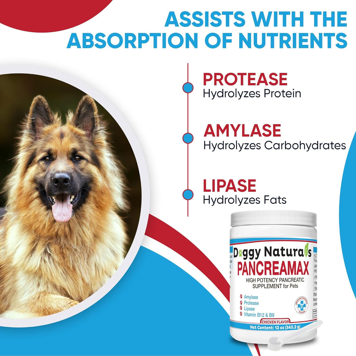 Doggy Naturals PancreaMax 10x Pancreatic Enzymes for Dogs and Cats 340Gr.