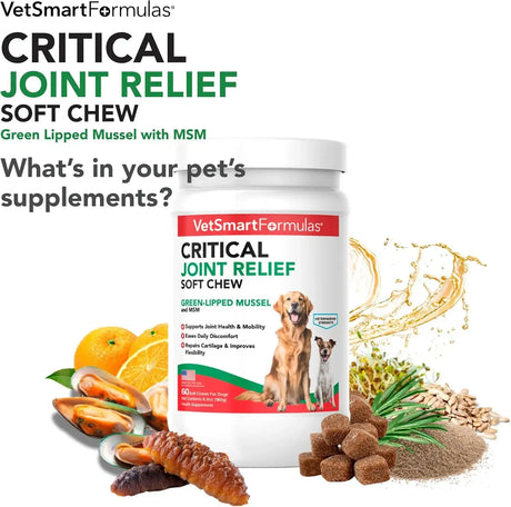 VETSMART - VetSmart Formulas Critical Joint Relief Soft Chew for Dogs 60 Masticables - The Red Vitamin MX - Cuidado De Cadera Y Articulaciones Para Perros - {{ shop.shopifyCountryName }}