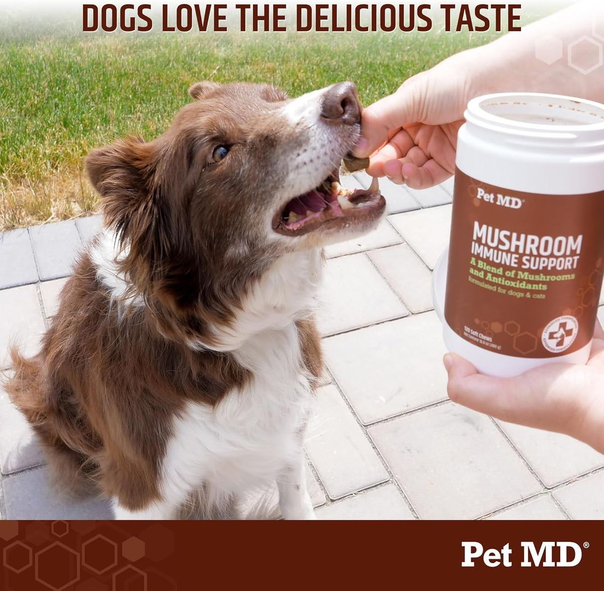 PET MD - Pet MD Mushroom Immune Support for Dogs & Cats 120 Masticables - The Red Vitamin MX - Suplementos Herbales Para Perros - {{ shop.shopifyCountryName }}