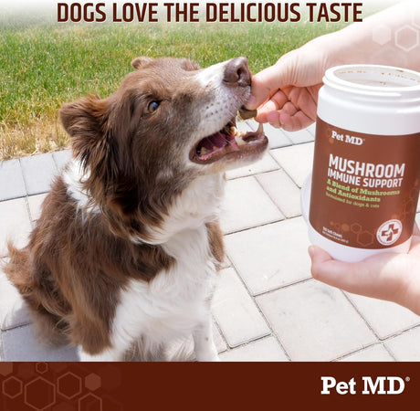 PET MD - Pet MD Mushroom Immune Support for Dogs & Cats 120 Masticables - The Red Vitamin MX - Suplementos Herbales Para Perros - {{ shop.shopifyCountryName }}