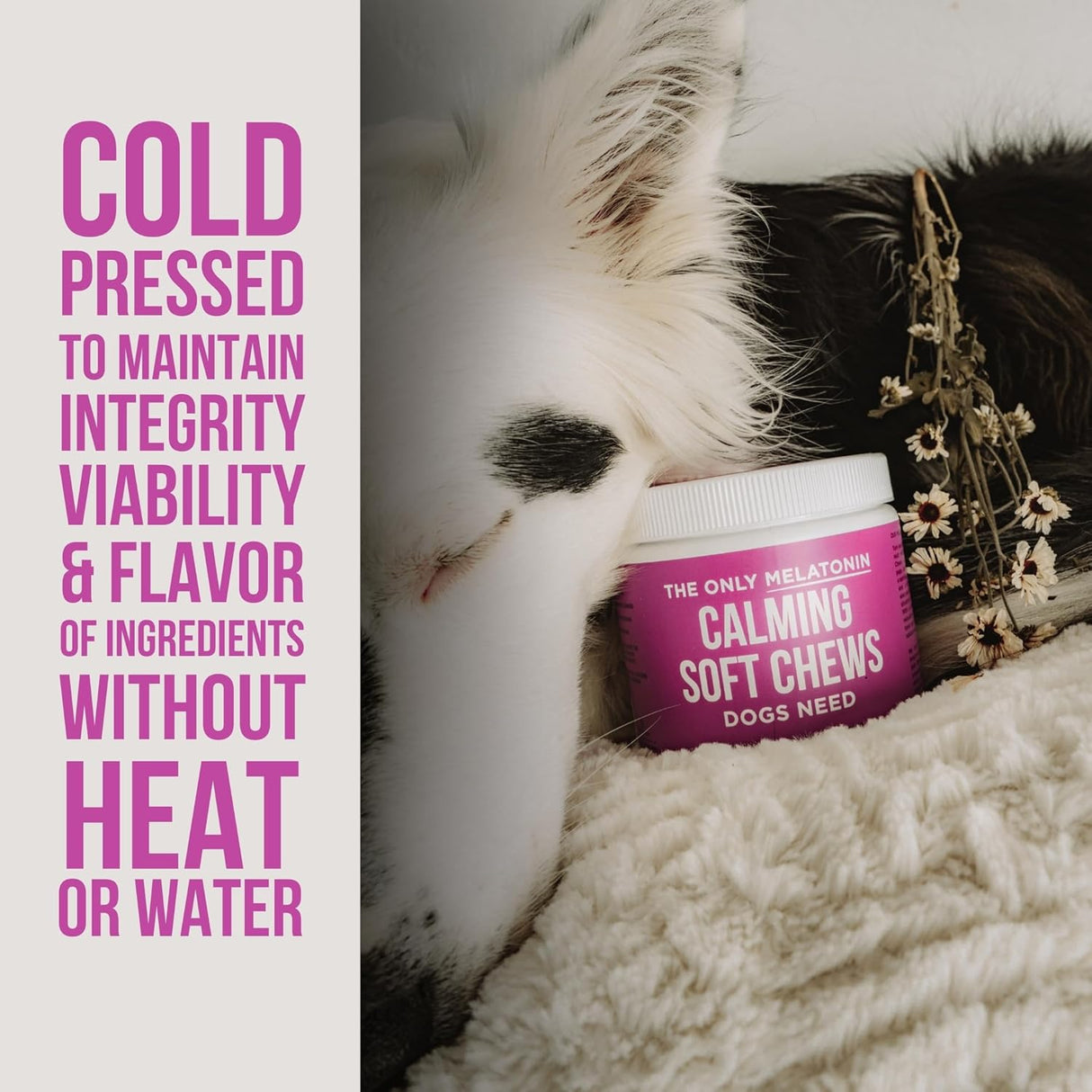 Natural Rapport Dog Calming Chews 120 Masticables