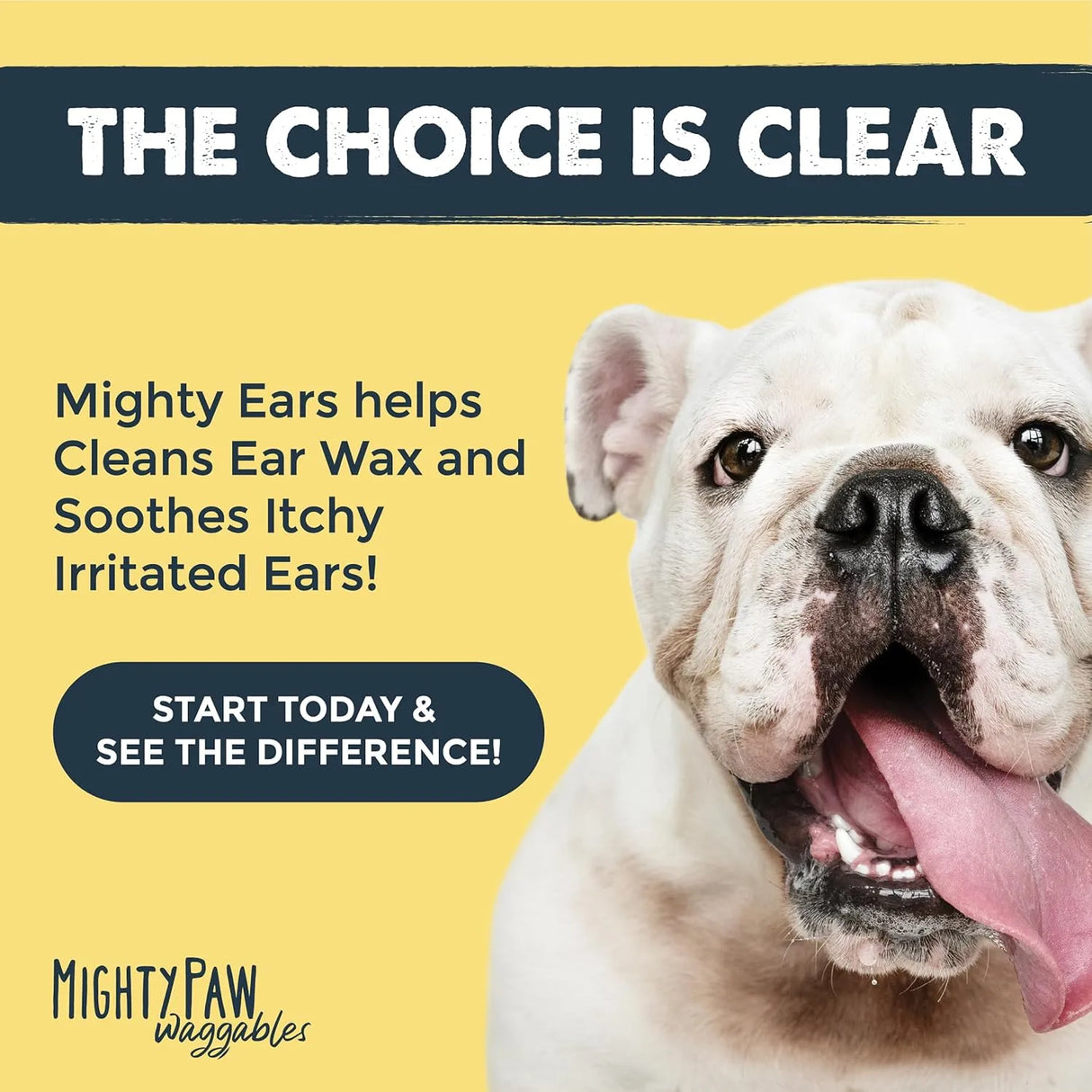 MIGHTY PAW - Mighty Paw Waggables Dog Ear Wash 4 Fl.Oz. - The Red Vitamin MX - Cuidado Del Oído De Perros - {{ shop.shopifyCountryName }}