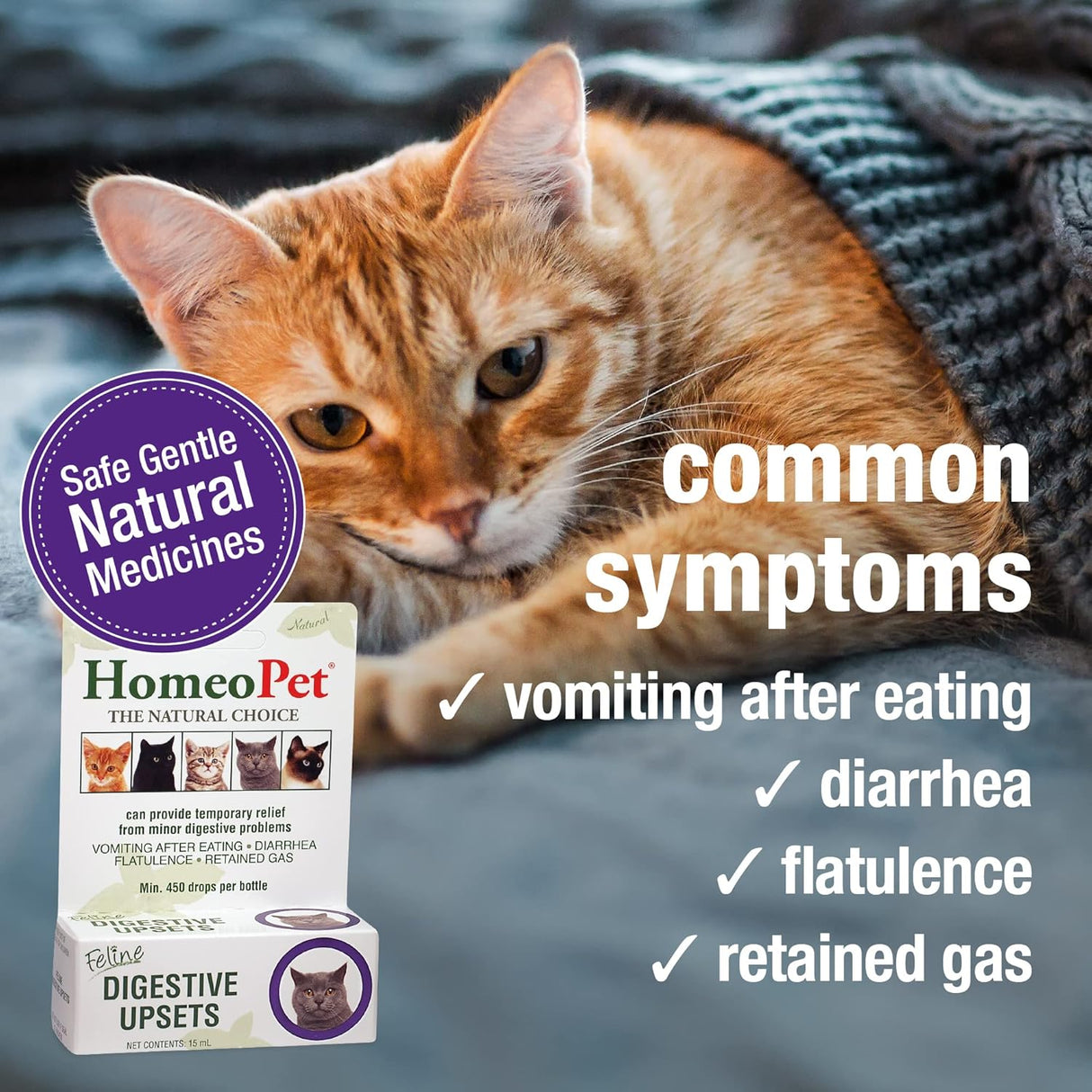 HomeoPet Feline Digestive Upsets 15Ml.