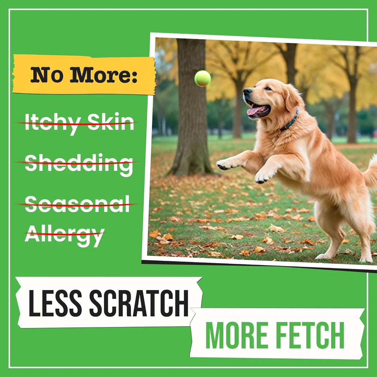 PAWSENTIAL - Pawsential Omega 3 Fish Oil for Dogs & Cats 16 Fl.Oz. - The Red Vitamin MX - Aceite De Pescado Para Perros - {{ shop.shopifyCountryName }}