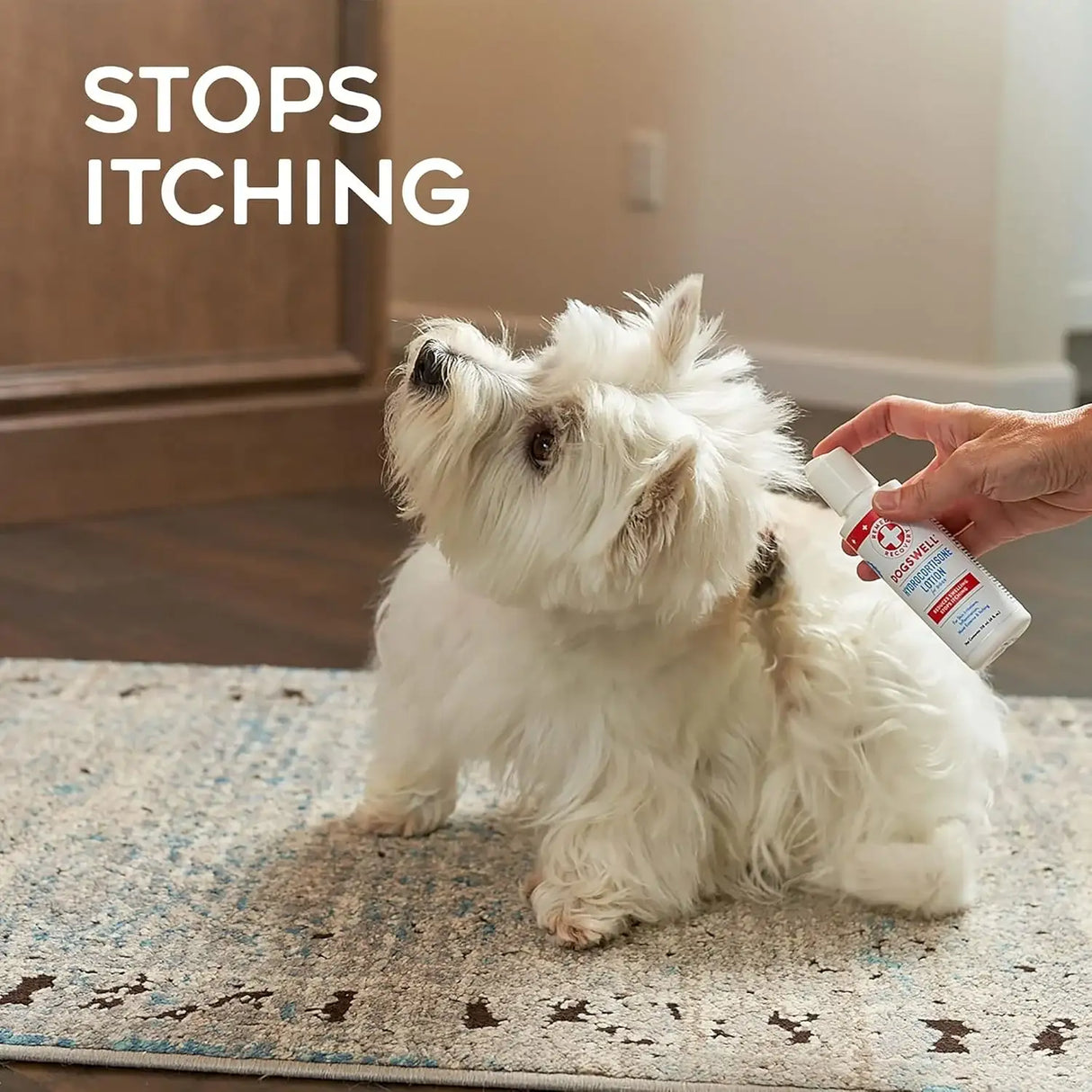 DOGSWELL - DOGSWELL Remedy + Recovery 0.5% Hydrocortisone Lotion for Dogs 4 Fl.Oz. - The Red Vitamin MX - Remedios Para La Picazón De Perros - {{ shop.shopifyCountryName }}