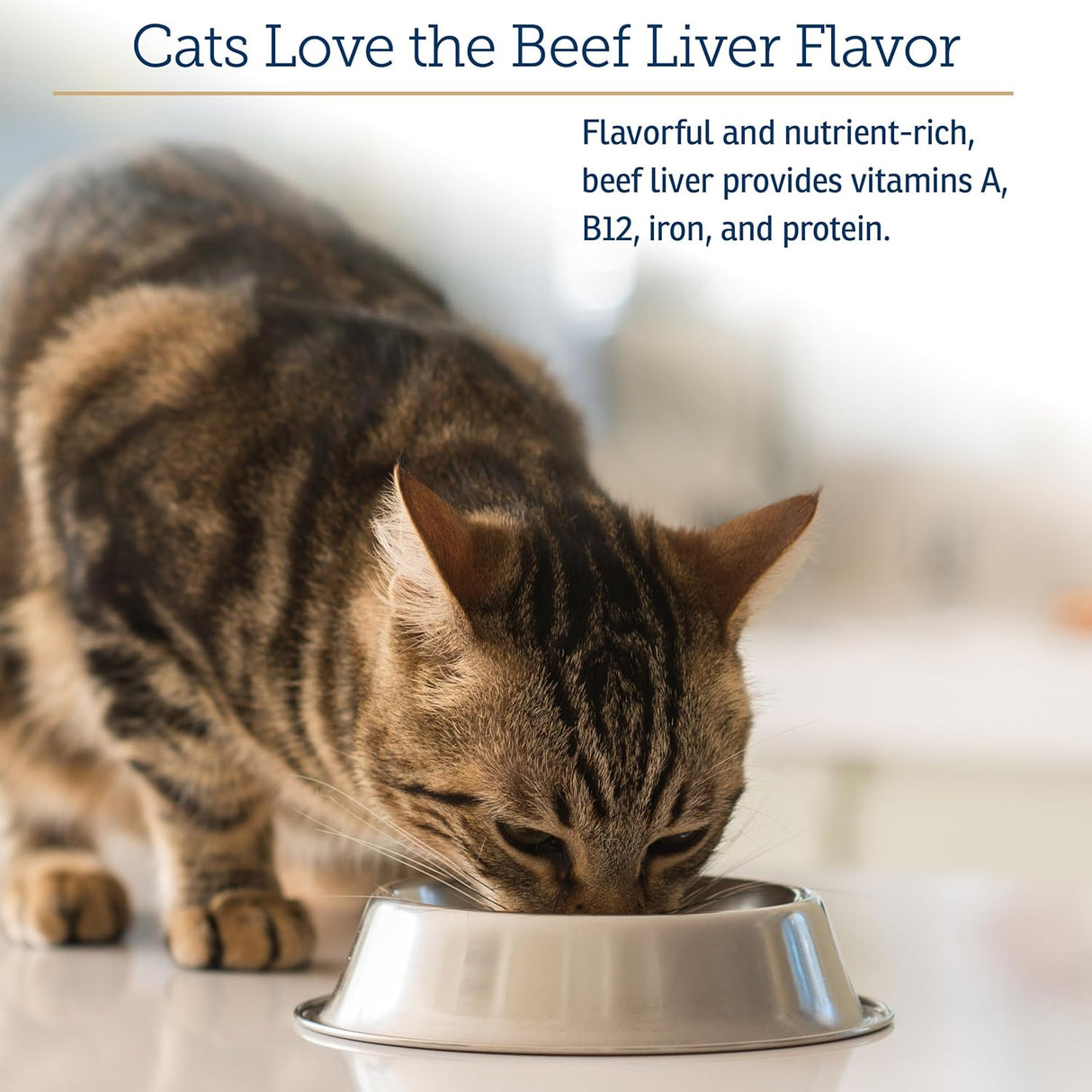 Rx Vitamins Essentials for Cats Powder 113Gr.