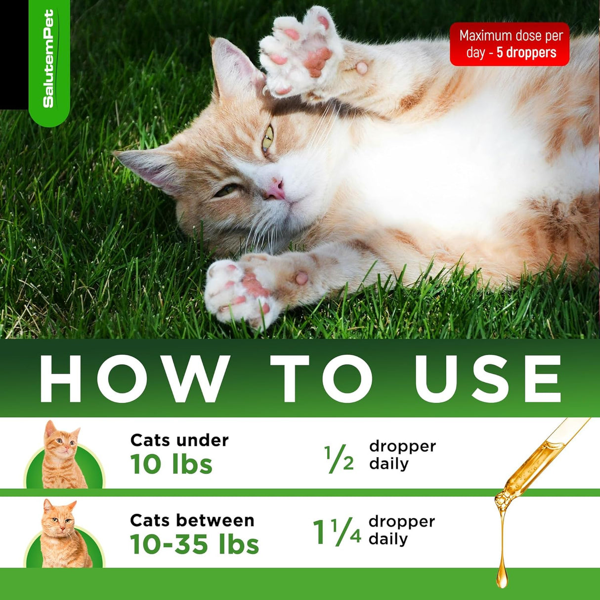 SalutemPet Cat Antibiotic for Infections UTIs Respiratory Moments Cold, & Allergies 2 Fl.Oz.