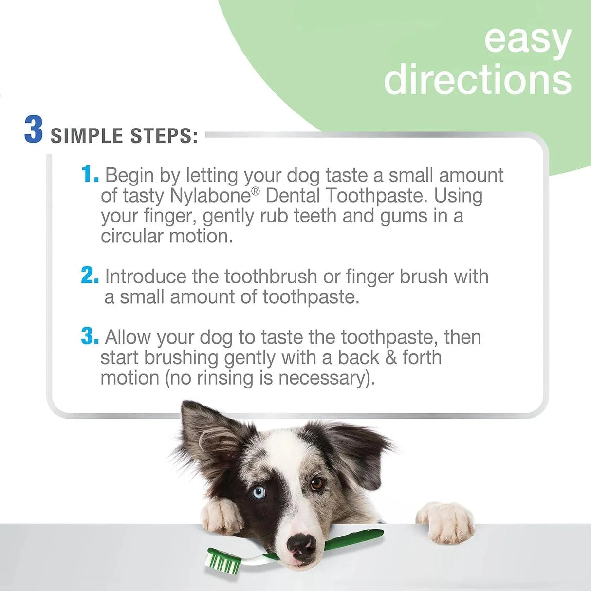 NYLABONE - Nylabone Advanced Oral Care Natural Dog Dental Kit Peanut Flavor 2.5 Oz. - The Red Vitamin MX - Cuidado Dental Para Perros - {{ shop.shopifyCountryName }}